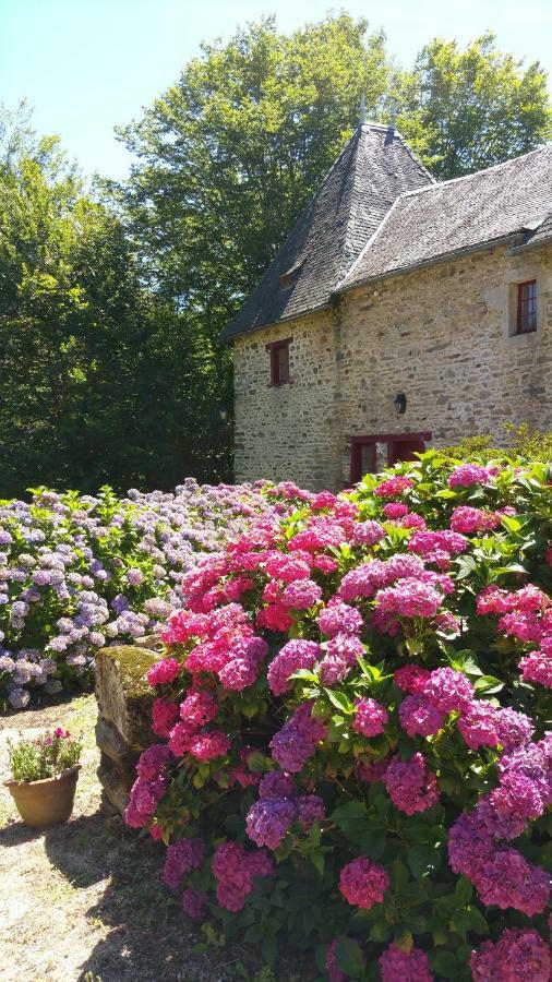 Chateau De Bellefond Lagrauliere Exterior photo