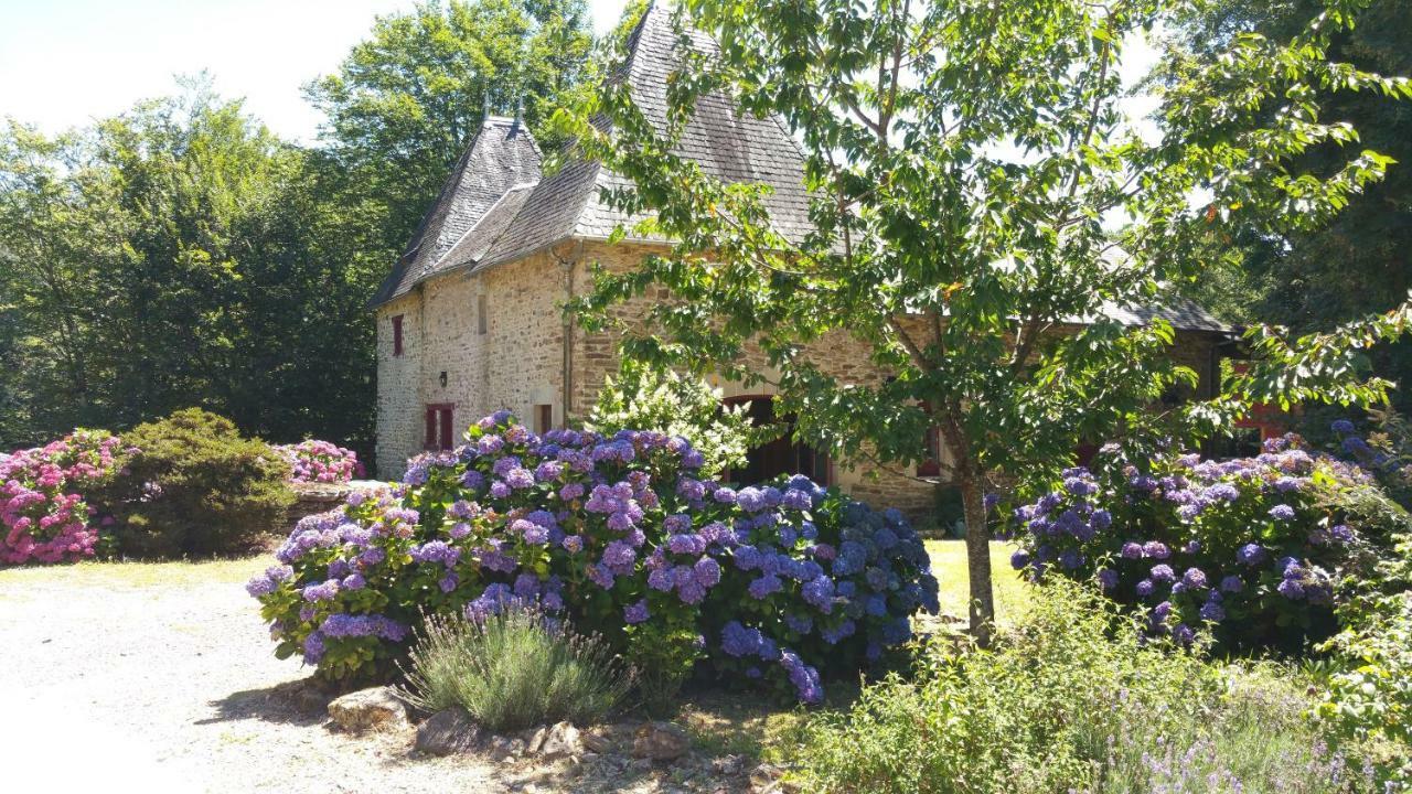 Chateau De Bellefond Lagrauliere Exterior photo